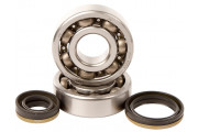 MAIN BEARINGS AND SEAL KIT RM125 99-07