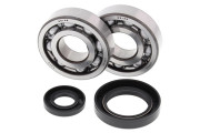 Crank Bearing and Seal Kit CR250R 92-07