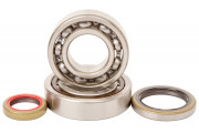 MAIN BEARING AND SEAL KIT HOT RODS KTM 250EXC04-11