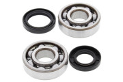 Crank Bearing and Seal Kit YZ125 86-00
