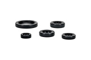 OIL SEAL KIT YZ250F 19-23 VERTEX