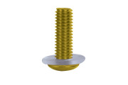 Screen Screw - Gold