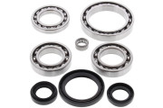 Differential Bearing and Seal