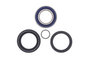 Wheel Bearing and Seal Kit