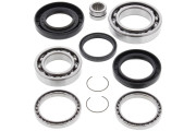 Differential Bearing and Seal