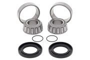 Swing Arm Bearing Kit Yamaha YFM250 Beartracker 99-04 YFM25