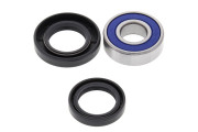 Lower Steering Bearing Kit