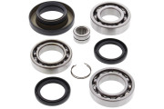 Differential Bearing and Seal