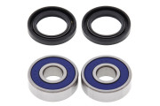 Wheel Bearing and Seal Kit CR80/85 85-07