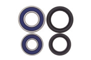 Wheel Bearing and Seal Kit Honda TRX250X / EX Sportrax 01-21