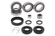 Differential Bearing and Seal