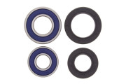 Wheel Bearing and Seal Kit