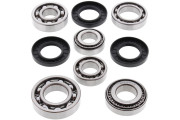 Differential Bearing and Seal