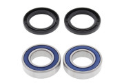 Wheel Bearing and Seal Kit KTM Rear