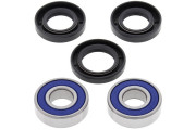 Wheel Bearing and Seal Kit Front  LT-F250 Ozark 02-14