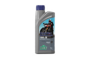 Guardian 10w50 1LT