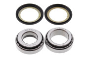 Steering Bearing Kit