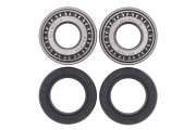 Wheel Bearing and Seal Kit