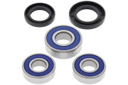 Wheel Bearing and Seal Kit Rear Honda FMX650 (Euro) 05-06 F