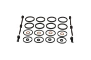 Caliper Rebuild Kit DL100 14-19