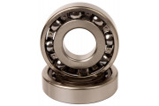 Main bearing and seal kit TRX500FM