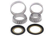 Steering Bearing Kit