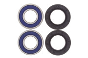 Wheel Bearing and Seal Kit Sherco