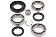 Differential Bearing and Seal