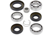 Differential Bearing and Seal