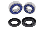 Wheel Bearing and Seal Kit Front Suzuki LT-80 87-06 LT-A50