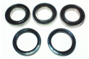Wheel Bearing Kit Rear CR125R 00-07 CRF450R/X 02-15CR250R/
