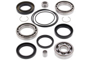 Differential Bearing and Seal