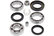 Differential Bearing and Seal