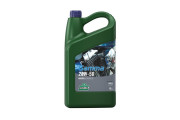 Gamma 20w50 4LT