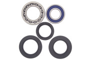 Wheel Bearing and Seal Kit