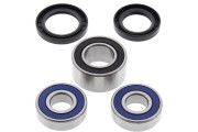 Wheel Bearing Kit Rear Honda CBR600F4 01-06