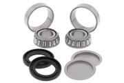 Swing Arm Bearing TRX300FW Fourtrax 4x4 88-00 TRX350FE 00-0