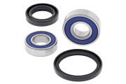 Wheel Bearing Kit Front Honda FMX650 (Euro) 05-06