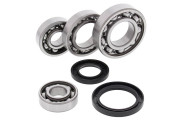 Differential Bearing and Seal