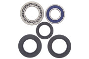 Wheel Bearing and Seal Kit