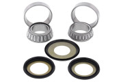 Steering Bearing Kit 329893