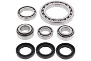 Differential Bearing and Seal