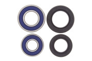 Wheel Bearing and Seal Kit