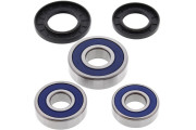 Wheel Bearing and Seal Kit Rear XL 1000 VARADERO (Euro) 99-1