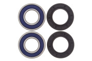 Wheel Bearing and Seal Kit Front Kawasaki Z750 (EURO) 04-06