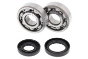 Crank Bearing and Seal Kit YZ125 01-04