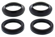 Fork and Dust Seal Kit 41X53X8/10.5