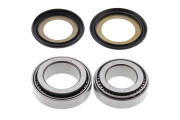 Steering Bearing Kit