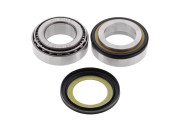 Steering Bearing Kit