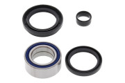 Wheel Bearing and Seal Kit
